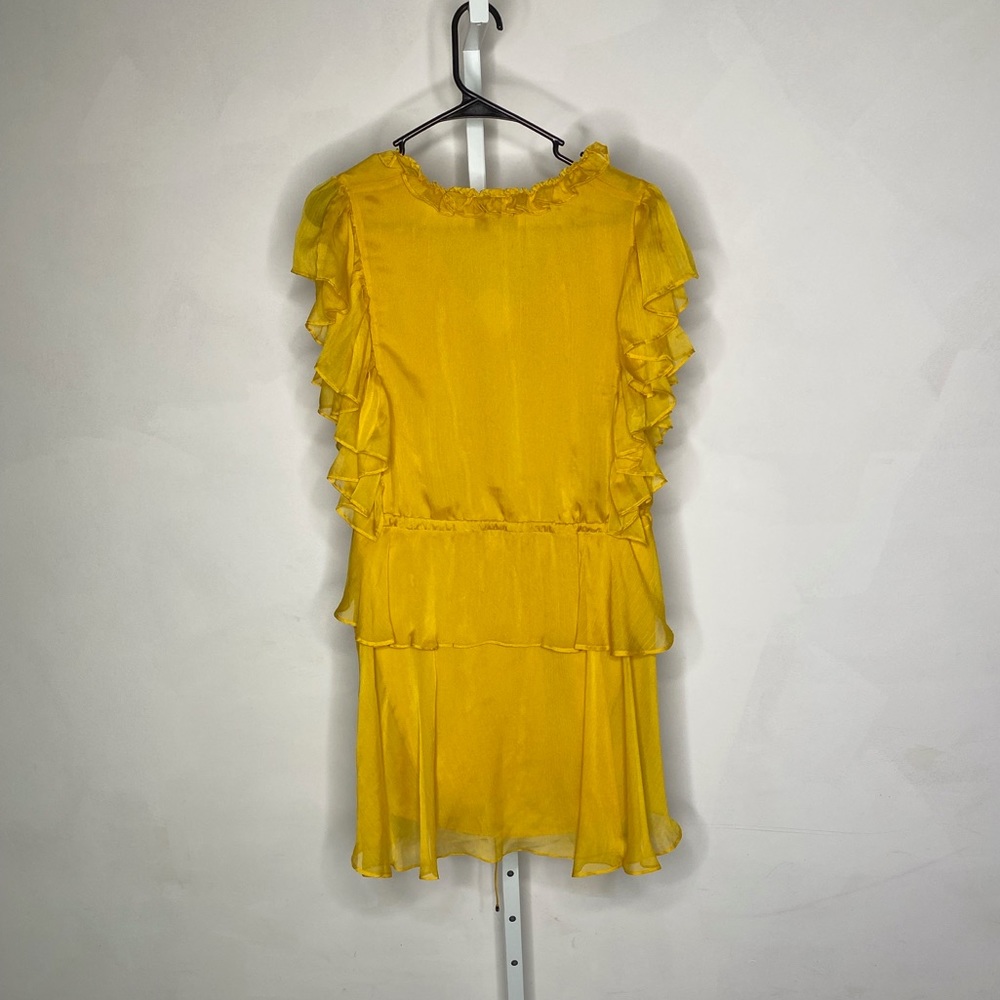 Endless Rose Ruffle Dress - Picture 5 of 5